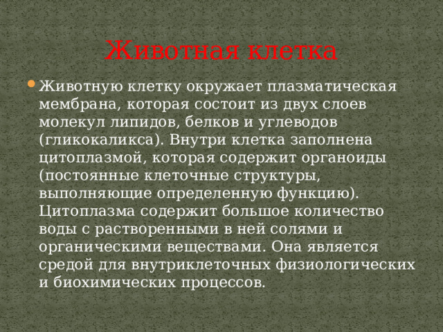 Животная клетка Животную клетку окружает плазматическая мембрана, которая состоит из двух слоев молекул липидов, белков и углеводов (гликокаликса). Внутри клетка заполнена цитоплазмой, которая содержит органоиды (постоянные клеточные структуры, выполняющие определенную функцию). Цитоплазма содержит большое количество воды с растворенными в ней солями и органическими веществами. Она является средой для внутриклеточных физиологических и биохимических процессов. 