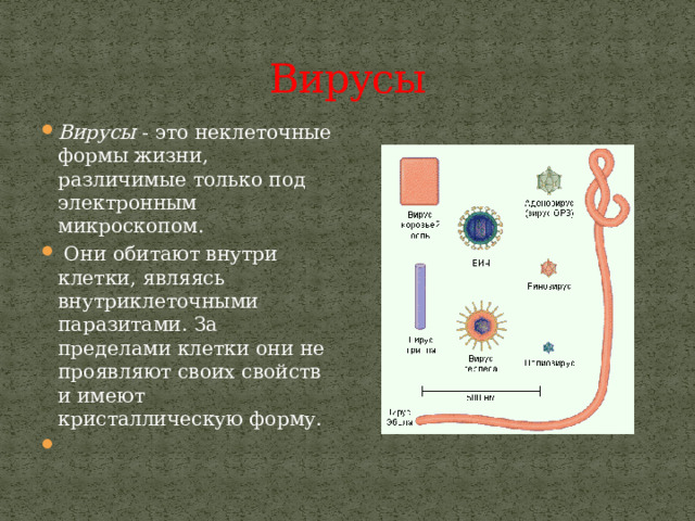 Вирусы Вирусы - это неклеточные формы жизни, различимые только под электронным микроскопом.  Они обитают внутри клетки, являясь внутриклеточными паразитами. За пределами клетки они не проявляют своих свойств и имеют кристаллическую форму.   