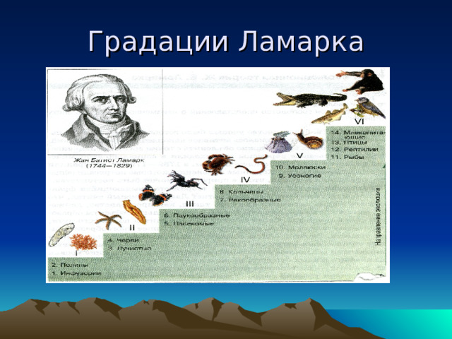 Градации Ламарка 