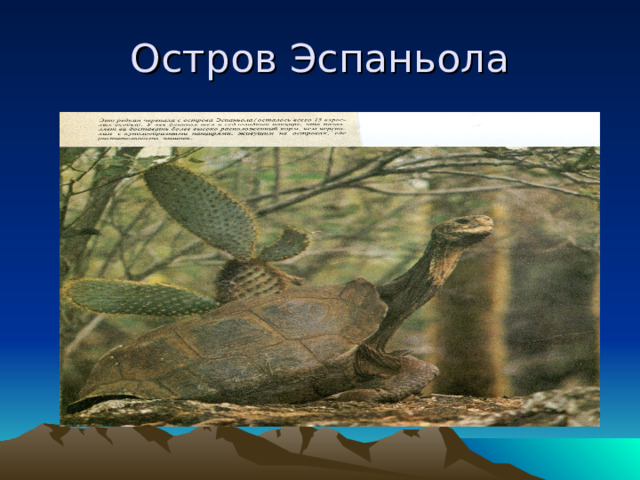 Остров Эспаньола 