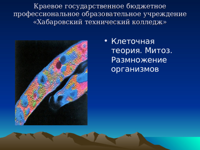 Краевое государственное бюджетное  профессиональное образовательное учреждение  «Хабаровский технический колледж»   Клеточная теория. Митоз. Размножение организмов 