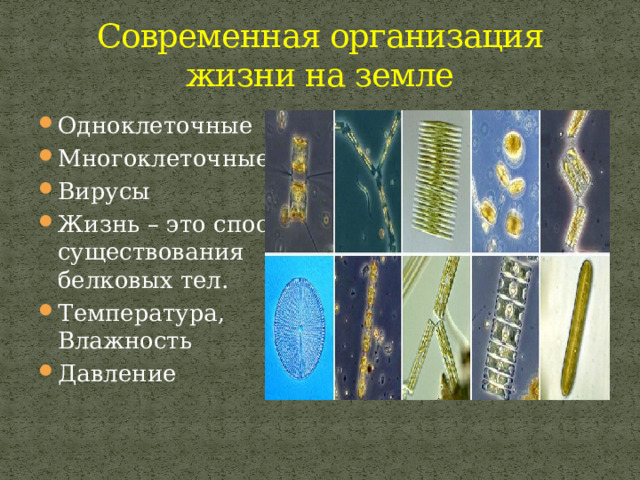 Современная организация жизни на земле Одноклеточные Многоклеточные Вирусы Жизнь – это способ существования белковых тел. Температура, Влажность Давление  