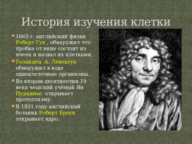 История изучения клетки 1665 г. английский физик Роберт Гук , обнаружил что пробка от вина состоит из ячеек и назвал их клетками. Голандец А. Левенгук обнаружил в воде одноклеточные организмы. Во втором десятилетии 19 века чешский учёный Ян Пуркинье открывает протоплазму. В 1831 году английский ботаник Роберт Броун открывает ядро. 