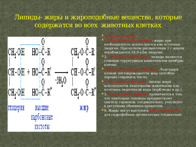 Липиды- жиры и жироподобные вещества, которые содержатся во всех животных клетках Функции липидов: 1.Энергетическая функция : жиры при необходимости используются как источник энергии. При полном расщеплении 1 г жиров освобождается 38,9 кДж энергии. 2. Строительная функция: липиды являются главным структурным компонентом мембран клетки. З.Теплоизоляционная функция : благодаря плохой теплопроводности жир способен хорошо сохранять тепло; 4. Запасающая функция : запасы жира используются некоторыми животными как источник эндогенной воды (верблюды и др.). 5. Регуляторная функция проявляется в том, что некоторые липоиды предшествуют синтезу гормонов, следовательно, участвуют в регуляции обменных процессов. 6. Жиры могут выступать как растворители для гидрофобных органических соединений. 