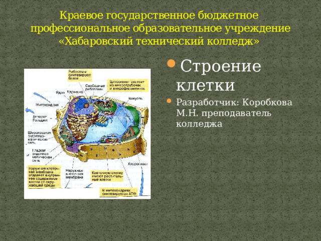 Краевое государственное бюджетное  профессиональное образовательное учреждение  «Хабаровский технический колледж» Строение клетки Разработчик: Коробкова М.Н. преподаватель колледжа 