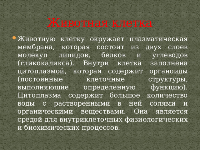 Животная клетка Животную клетку окружает плазматическая мембрана, которая состоит из двух слоев молекул липидов, белков и углеводов (гликокаликса). Внутри клетка заполнена цитоплазмой, которая содержит органоиды (постоянные клеточные структуры, выполняющие определенную функцию). Цитоплазма содержит большое количество воды с растворенными в ней солями и органическими веществами. Она является средой для внутриклеточных физиологических и биохимических процессов. 