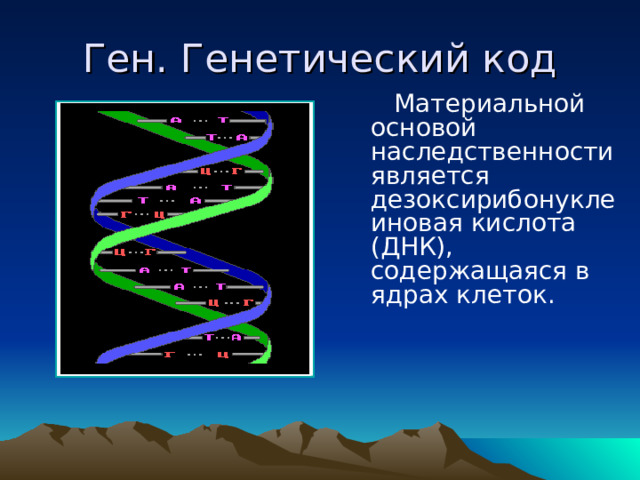 Ген. Генетический код  Материальной основой наследственности является дезоксирибонуклеиновая кислота (ДНК), содержащаяся в ядрах клеток. 