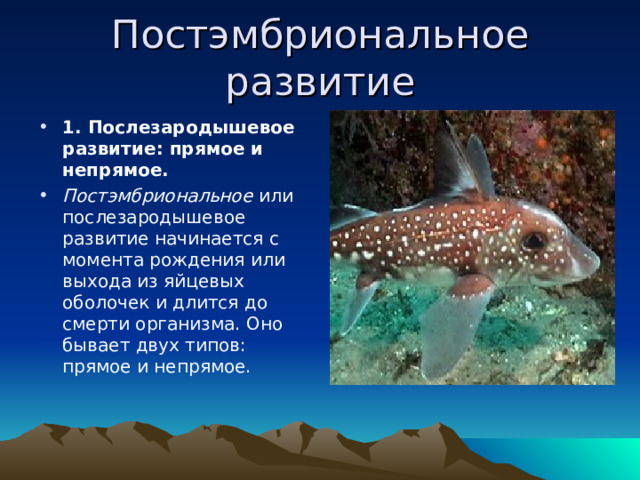 Постэмбриональное развитие 1. Послезародышевое развитие: прямое и непрямое. Постэмбриональное или послезародышевое развитие начинается с момента рождения или выхода из яйцевых оболочек и длится до смерти организма. Оно бывает двух типов: прямое и непрямое. 