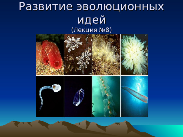 Развитие эволюционных идей  (Лекция №8) 