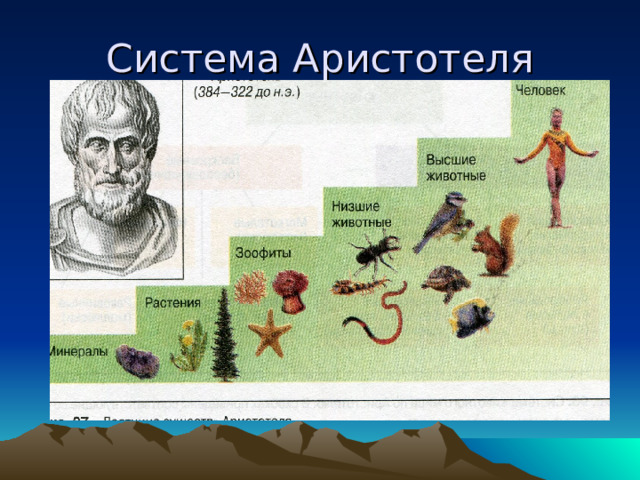 Система Аристотеля 