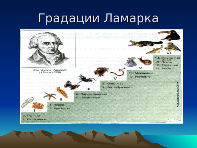 Градации Ламарка 