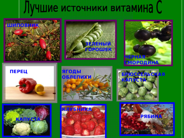 ШИПОВНИК  ЗЕЛЕНЫЙ ГОРОШЕК  ЧЕРНАЯ СМОРОДИНА  ЯГОДЫ ОБЛЕПИХИ  ПЕРЕЦ БРЮССЕЛЬСКАЯ КАПУСТА КЛУБНИКА РЯБИНА КАПУСТА 