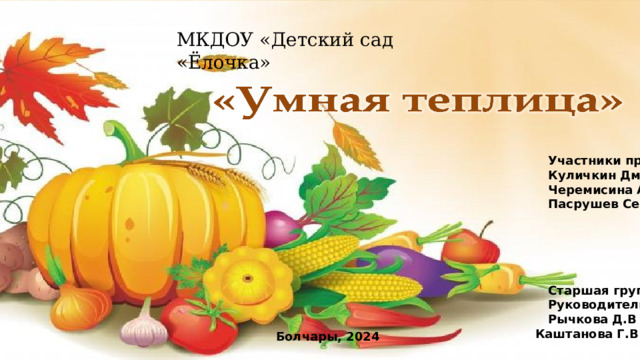 МКДОУ «Детский сад «Ёлочка»  Участники проекта:  Куличкин Дмитрий.  Черемисина Александра.  Пасрушев Сергей.        Старшая группа:  Руководители проекта:  Рычкова Д.В  Каштанова Г.В Болчары, 2024 