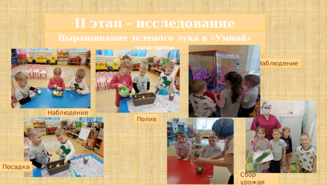 II этап - исследование Выращивание зеленого лука в «Умной» теплице Наблюдение Наблюдение Полив Посадка Сбор урожая 