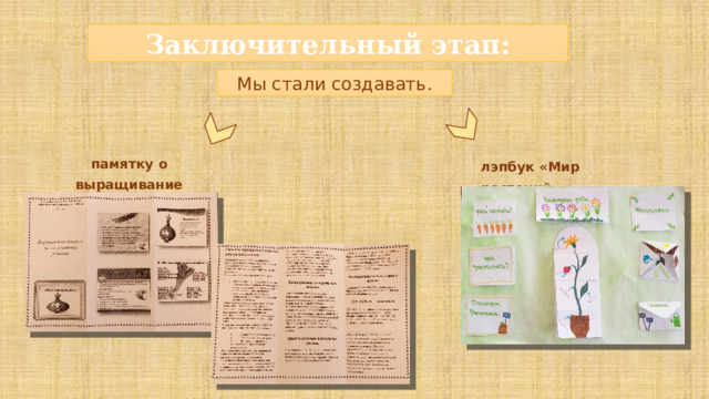 Заключительный этап: Мы стали создавать. памятку  о  выращивание лука лэпбук  «Мир  растений» 