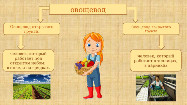 овощевод Овощевод открытого грунта. Овощевод закрытого грунта человек, который работает под открытом небом: человек, который работает в теплицах, в парниках в поле, и на грядках. 