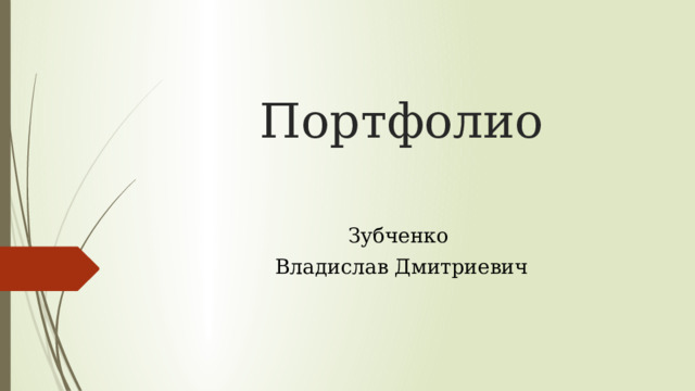 Портфолио Зубченко Владислав Дмитриевич 