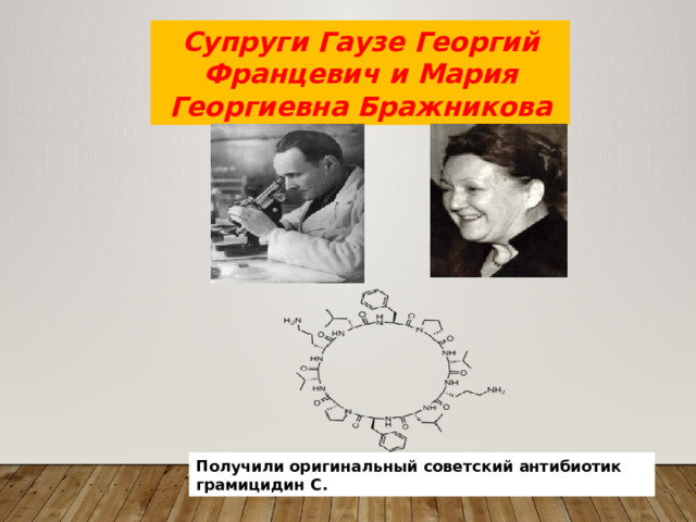 Супруги Гаузе Георгий Францевич и Мария Георгиевна Бражникова Получили оригинальный советский антибиотик грамицидин С. 