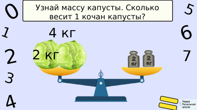 1 0 5 4 2 6 7 3 Узнай массу капусты. Сколько весит 1 кочан капусты? 4 кг 2 кг 