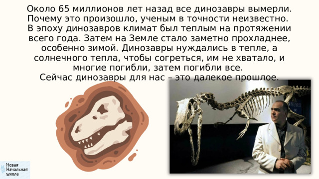 Около 65 миллионов лет назад все динозавры вымерли. Почему это произошло, ученым в точности неизвестно. В эпоху динозавров климат был теплым на протяжении всего года. Затем на Земле стало заметно прохладнее, особенно зимой. Ди­нозавры нуждались в тепле, а солнечного тепла, чтобы согреться, им не хватало, и многие погибли, затем погибли все. Сейчас динозавры для нас – это далекое прошлое. 