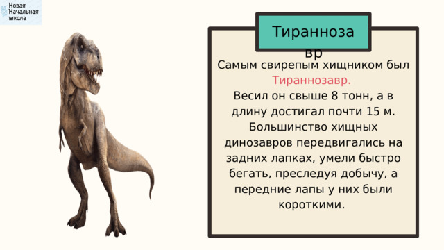 Тираннозав ﻿ р Самым свирепым хищником был Тираннозавр. Весил он свыше 8 тонн, а в длину достигал почти 15 м. Большинство хищных динозавров передвигались на задних лапках, умели быстро бегать, преследуя добычу, а передние лапы у них были короткими. 