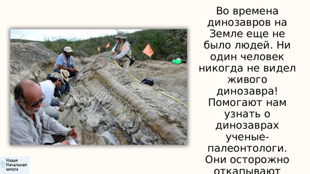 Во времена динозавров на Земле еще не было людей. Ни один человек никогда не видел живого динозавра! Помогают нам узнать о динозаврах ученые-палеонтологи. Они осторожно откапывают кости, соединяют их. 
