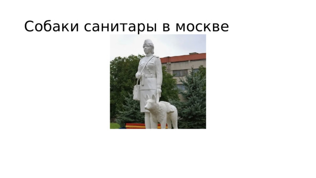 Собаки санитары в москве 