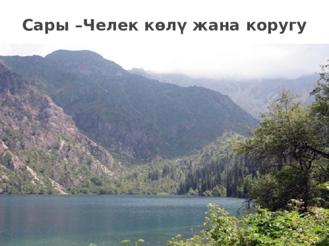 Сары –Челек көлү жана коругу 