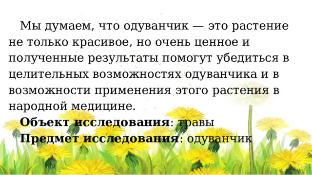 Мы думаем, что одуванчик — это растение не только красивое, но очень ценное и полученные результаты помогут убедиться в целительных возможностях одуванчика и в возможности применения этого растения в народной медицине. Объект исследования : травы Предмет исследования : одуванчик 
