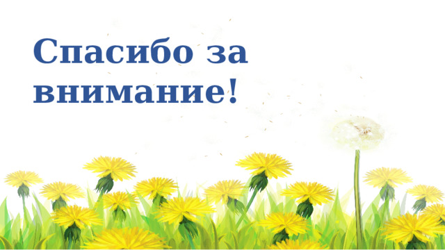 Спасибо за внимание! 