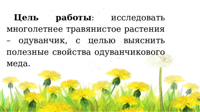 Цель работы : исследовать многолетнее травянистое растения – одуванчик, с целью выяснить полезные свойства одуванчикового меда. 