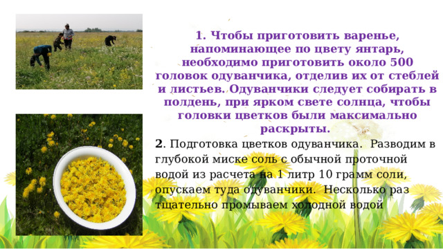 1. Чтобы приготовить варенье, напоминающее по цвету янтарь, необходимо приготовить около 500 головок одуванчика, отделив их от стеблей и листьев. Одуванчики следует собирать в полдень, при ярком свете солнца, чтобы головки цветков были максимально раскрыты. 2 . Подготовка цветков одуванчика. Разводим в глубокой миске соль с обычной проточной водой из расчета на 1 литр 10 грамм соли, опускаем туда одуванчики. Несколько раз тщательно промываем холодной водой      