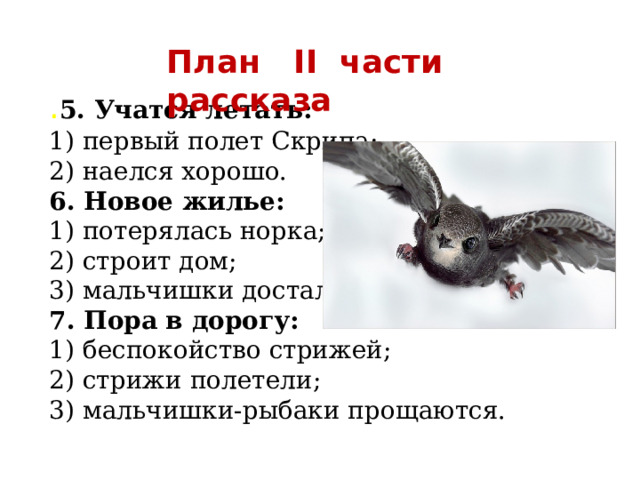 План II части рассказа . 5. Учатся летать: 1) первый полет Скрипа; 2) наелся хорошо. 6. Новое жилье: 1) потерялась норка; 2) строит дом; 3) мальчишки достали. 7. Пора в дорогу: 1) беспокойство стрижей; 2) стрижи полетели; 3) мальчишки-рыбаки прощаются. 