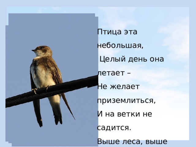 Птица эта небольшая,  Целый день она летает –  Не желает приземлиться,  И на ветки не садится.  Выше леса, выше крыш –  Всех быстрей летает … (Стриж) 
