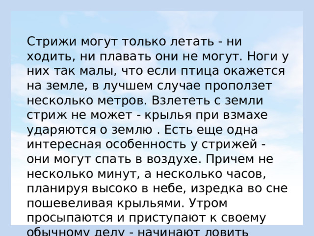 Стрижи могут только летать - ни ходить, ни плавать они не могут. Ноги у них так малы, что если птица окажется на земле, в лучшем случае проползет несколько метров. Взлететь с земли стриж не может - крылья при взмахе ударяются о землю . Есть еще одна интересная особенность у стрижей - они могут спать в воздухе. Причем не несколько минут, а несколько часов, планируя высоко в небе, изредка во сне пошевеливая крыльями. Утром просыпаются и приступают к своему обычному делу - начинают ловить насекомых. 