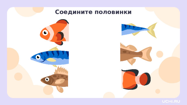 Соедините половинки Открытие нового знания — Соедините половинки так, чтобы узоры совпали. 