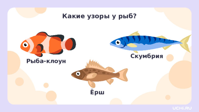 Какие узоры у рыб? Скумбрия Рыба-клоун Ёрш Открытие нового знания — Одинаковы ли узоры у этих рыб? (Нет.) — На что похожи эти узоры? (У скумбрии — как у зебры, полоски; у ерша — кружочки; рыбы-клоуна — полосатая.) 