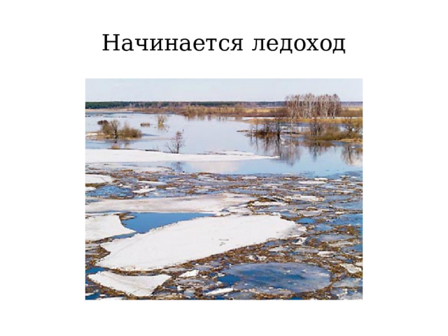 Начинается ледоход 