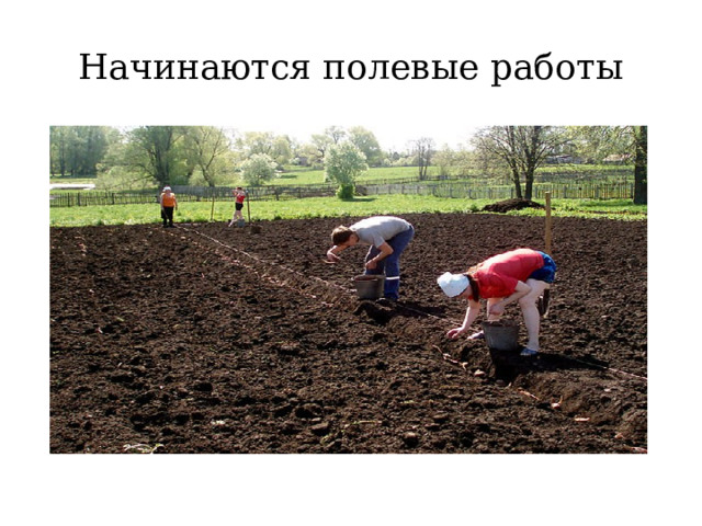 Начинаются полевые работы 