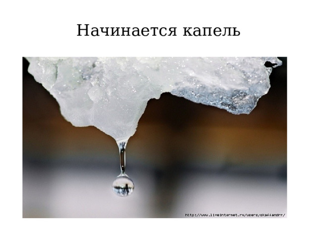 Начинается капель 
