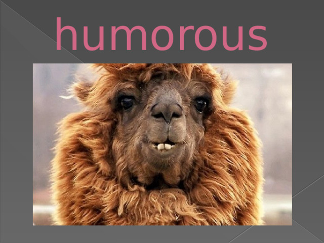 humorous 