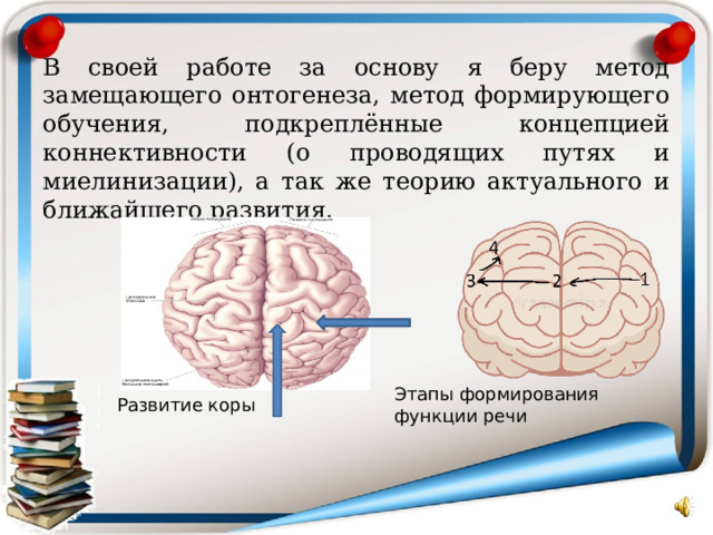 В своей работе за основу я беру метод замещающего онтогенеза, метод формирующего обучения, подкреплённые концепцией коннективности (о проводящих путях и миелинизации), а так же теорию актуального и ближайшего развития. Этапы формирования функции речи Развитие коры 