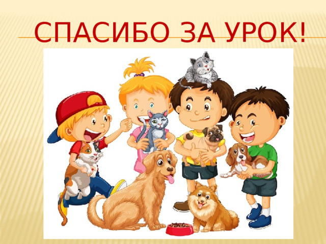  СПАСИБО ЗА УРОК! 