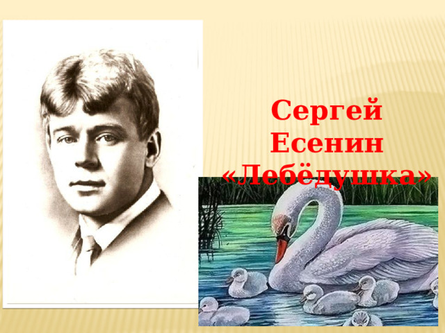 Сергей Есенин «Лебёдушка» 