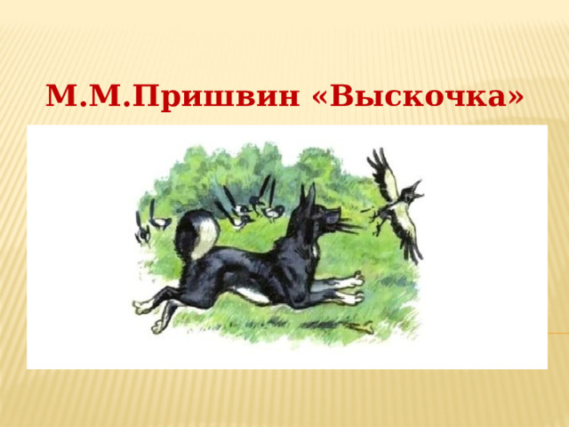 М.М.Пришвин «Выскочка» 