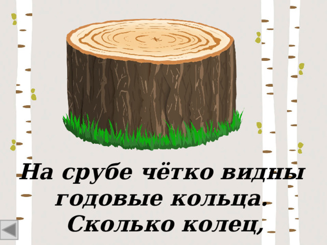 На срубе чётко видны годовые кольца. Сколько колец, столько лет. 