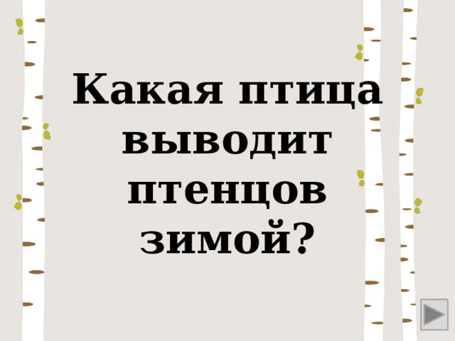 Какая птица выводит птенцов зимой? 