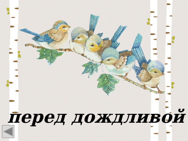 перед дождливой 