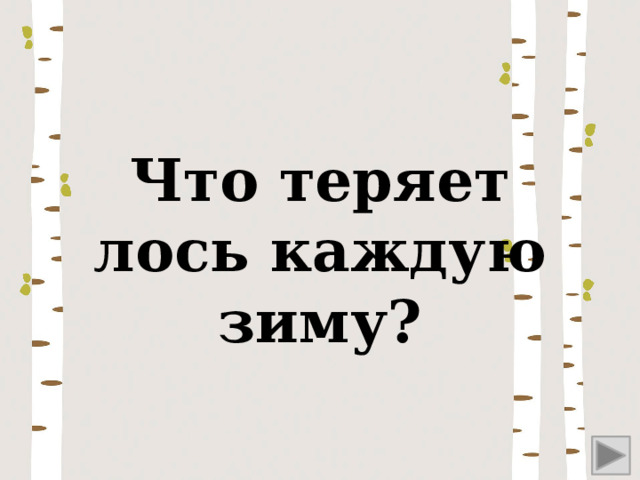 Что теряет лось каждую зиму? 