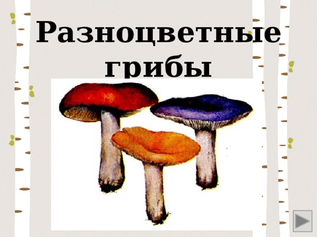 Разноцветные грибы 